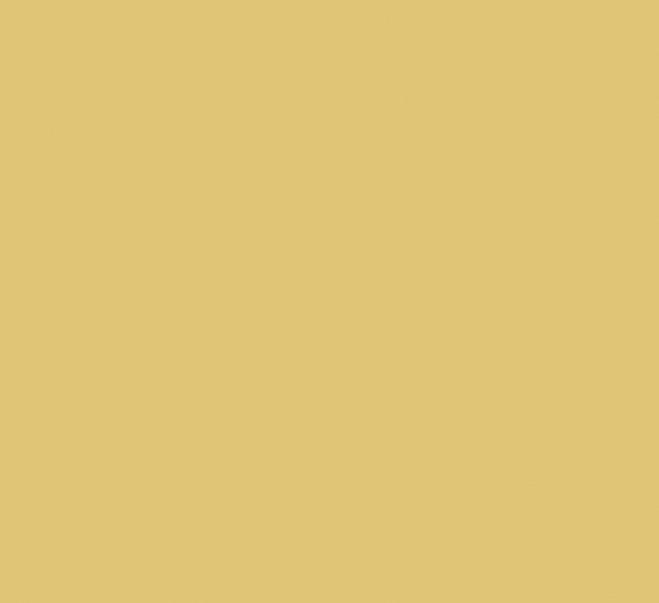 Catkin, a rich yellow ochre paint colour