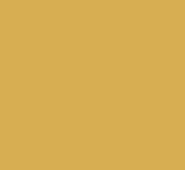 Chanterelle, a rich yellow ochre paint colour
